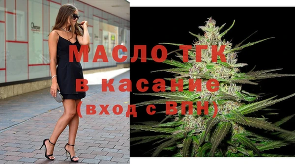 гашик Мегион