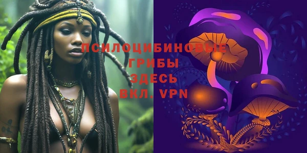 меф Медвежьегорск