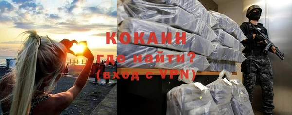 гашик Мегион