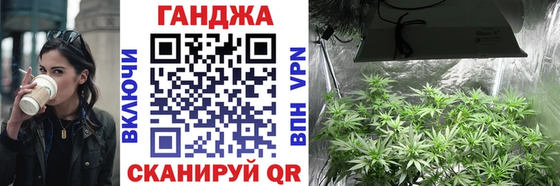 Конопля сатива Костерёво